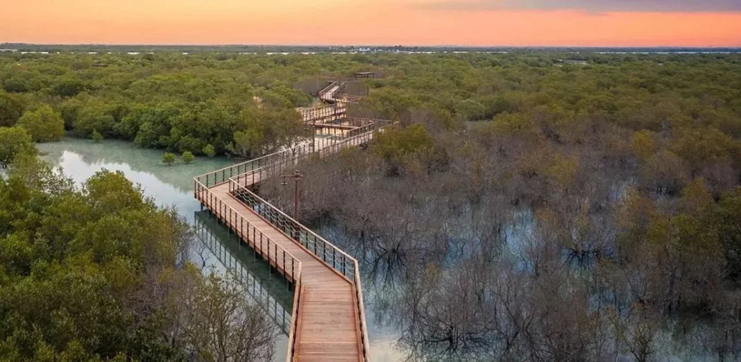 Un oasis natural en el desierto: el enigmático bosque que emerge sobre el agua de mar más cálida