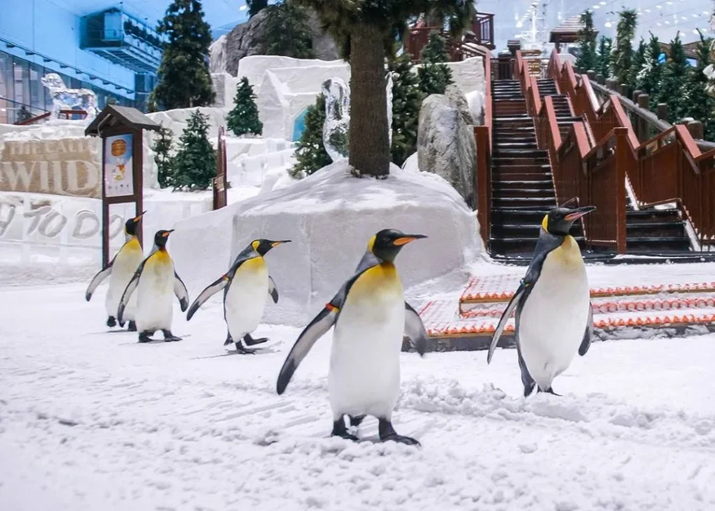 Un paraíso de nieve para esquiar en pleno calor