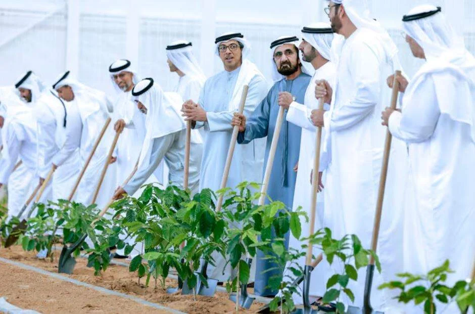 Dubai impulsa la agricultura con su nuevo proyecto 'Plantar en EAU'