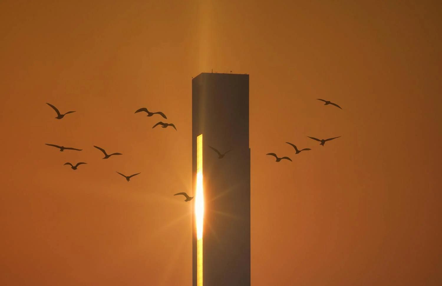 Abu Dabi traza el camino hacia un futuro impulsado por energía solar
