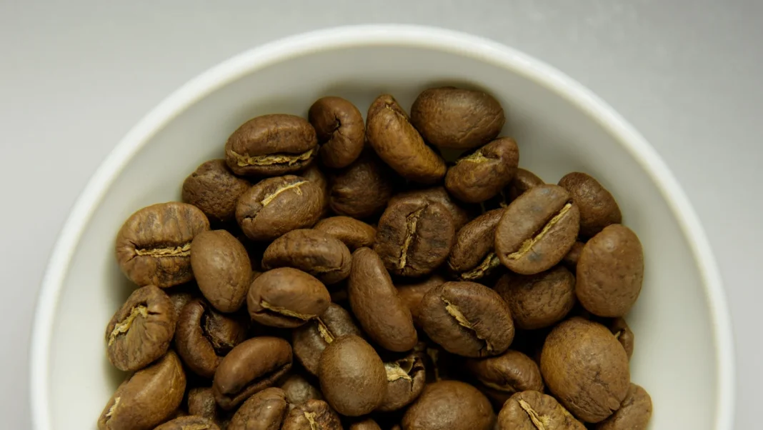 Importar café en Dubái desde India: el nicho existe, pero valida demanda y licencia free zone antes de invertir Importar café en Dubái desde India: el nicho existe, pero valida demanda y licencia free zone antes de invertir