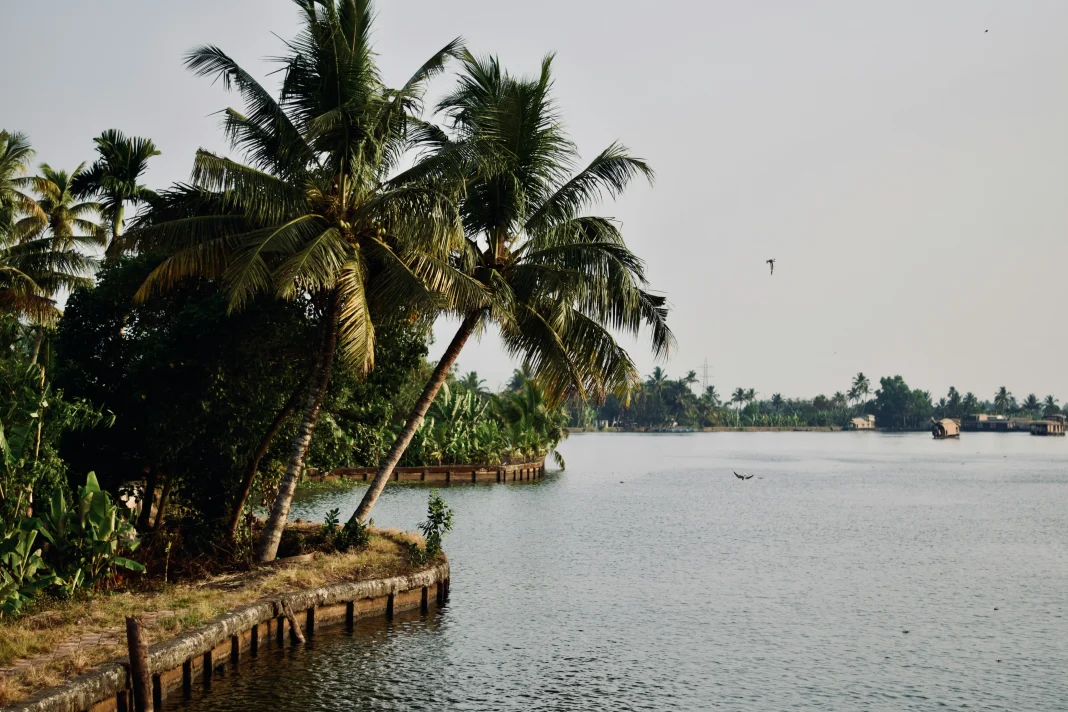 Leptospirosis viajeros: la advertencia de los médicos de Dubái si planeas ir a Kerala en monzón leptospirosis viajeros EAU