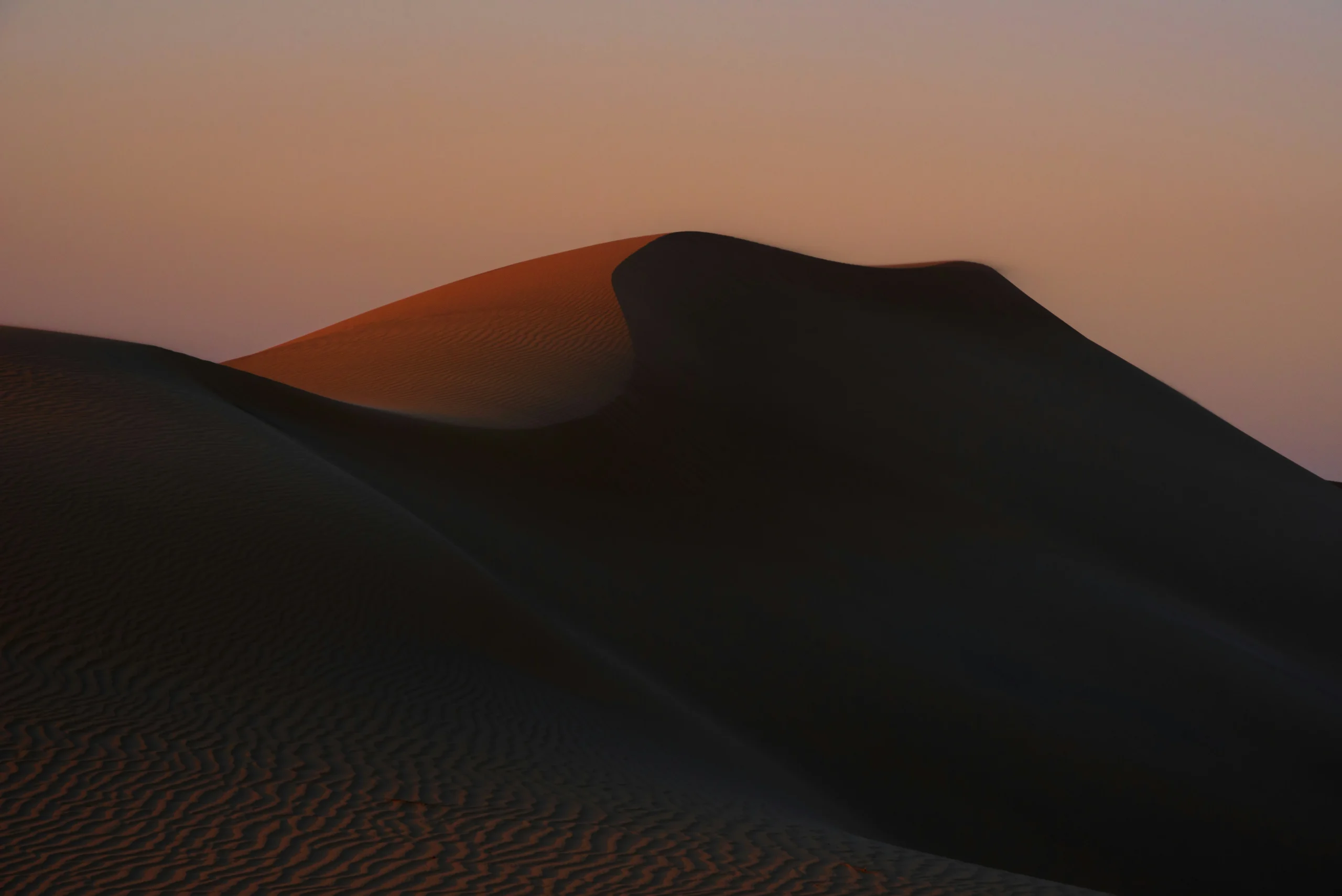 Al Ain Oasis