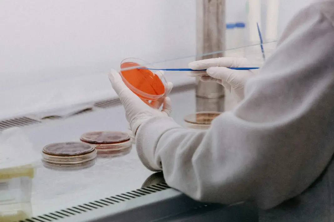 Food safety Dubái: salario entry-level en QA/QC sin experiencia local food safety Dubái trabajo
