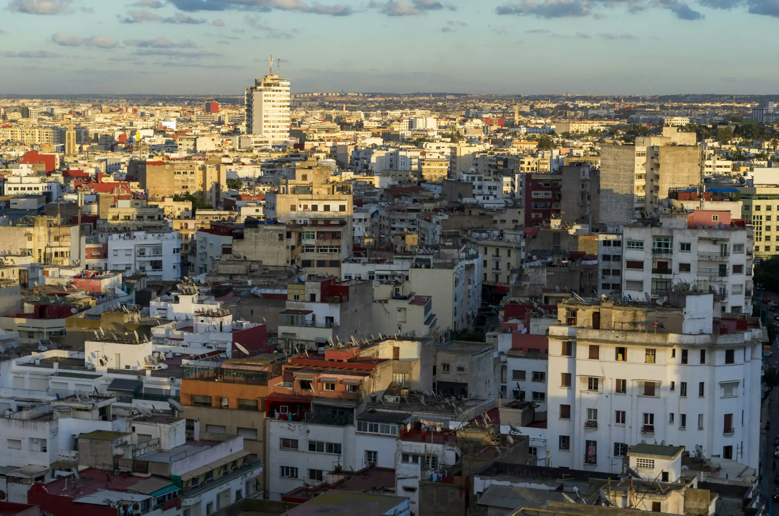 competencia empleo Emiratos