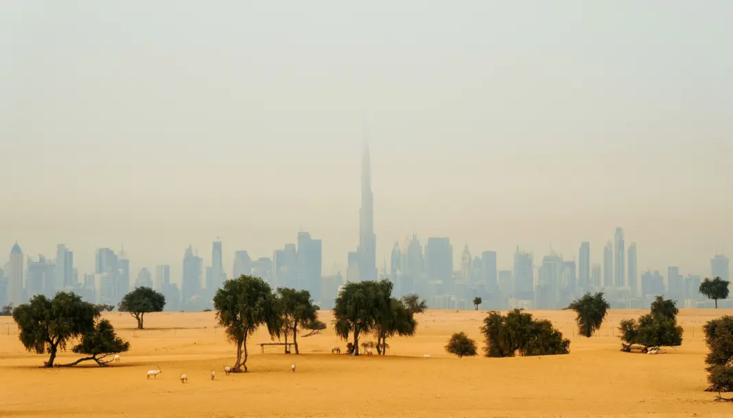 Chacarra lidera la Race to Dubai: el circuito que mueve el empleo en eventos en Dubái empleo eventos Dubái
