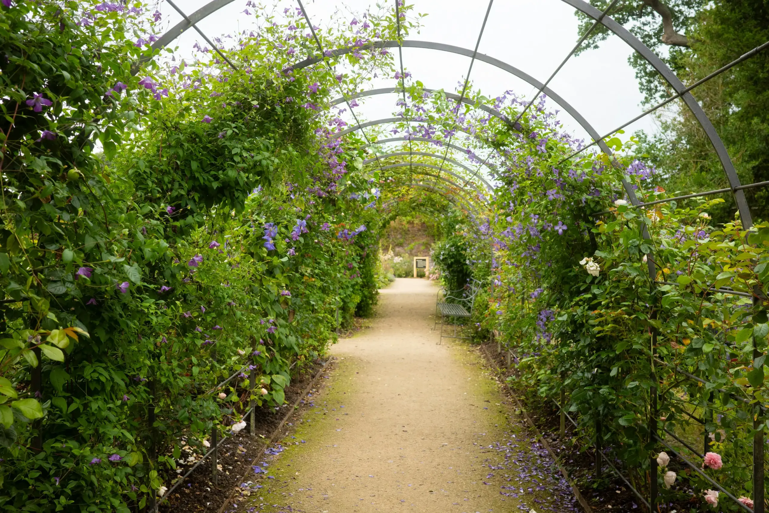 jardín de flores Dubái